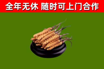 皋兰县烟酒回收冬虫夏草.jpg