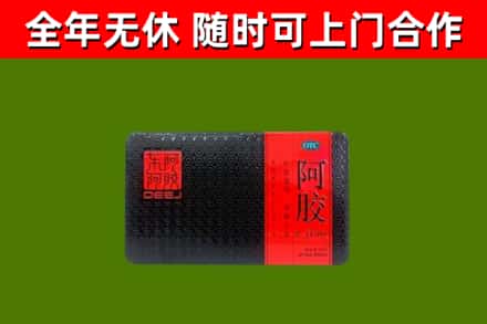 皋兰县回收阿胶